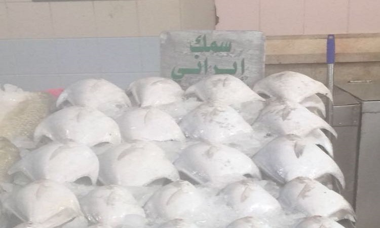اتحاد الصيادين: أين الرقابة التجارية على الأسماك المستوردة حتى لا يتم خداع المستهلكين؟!
