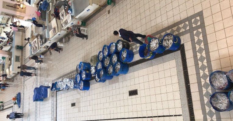 صورة | سوق شرق ينتظر المزاد.. وكميات “الميد” تتراجع