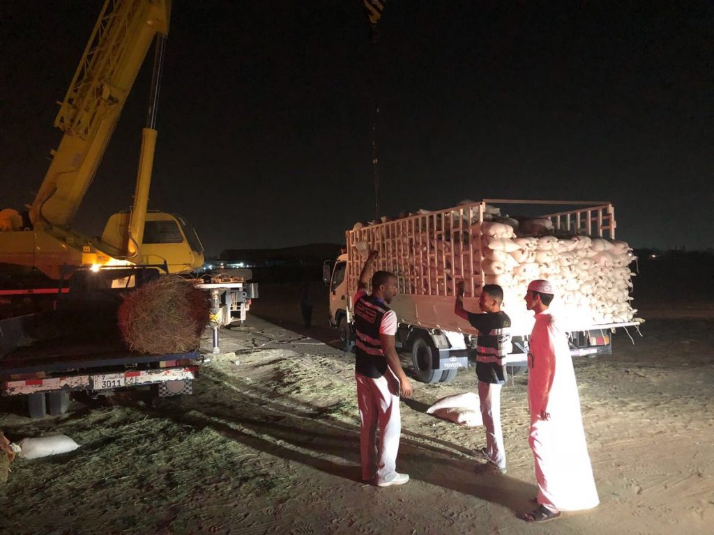 إرسال 5 هاف لوري و3 سيارات مهملة لحجز البلدية