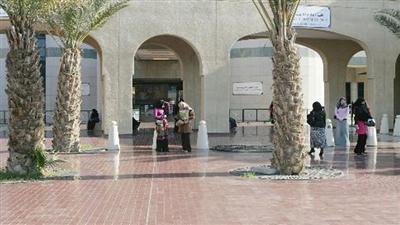 عميد #العلوم_الاجتماعية: #الشاليهات_الوهمية ستتفوق على #الشهادات_المزورة