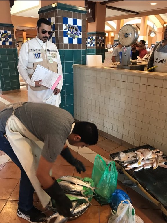 إتلاف 43 كيلو أسماك غير صالحة للإستهلاك الآدمي في الفحيحيل