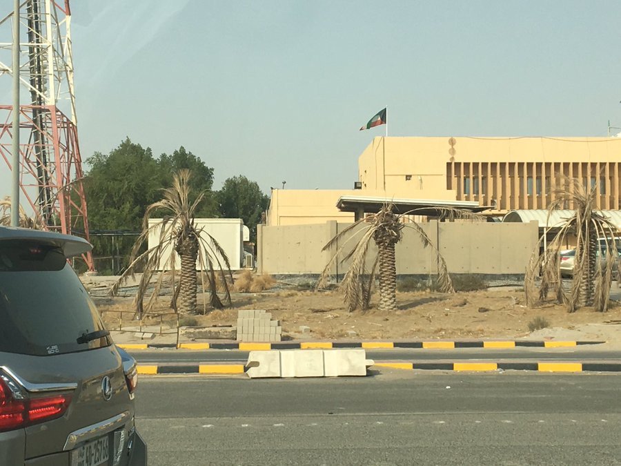 مواطنون يطلقون حملة #شجرنا_يموت لإنقاذ الأشجار من الجفاف