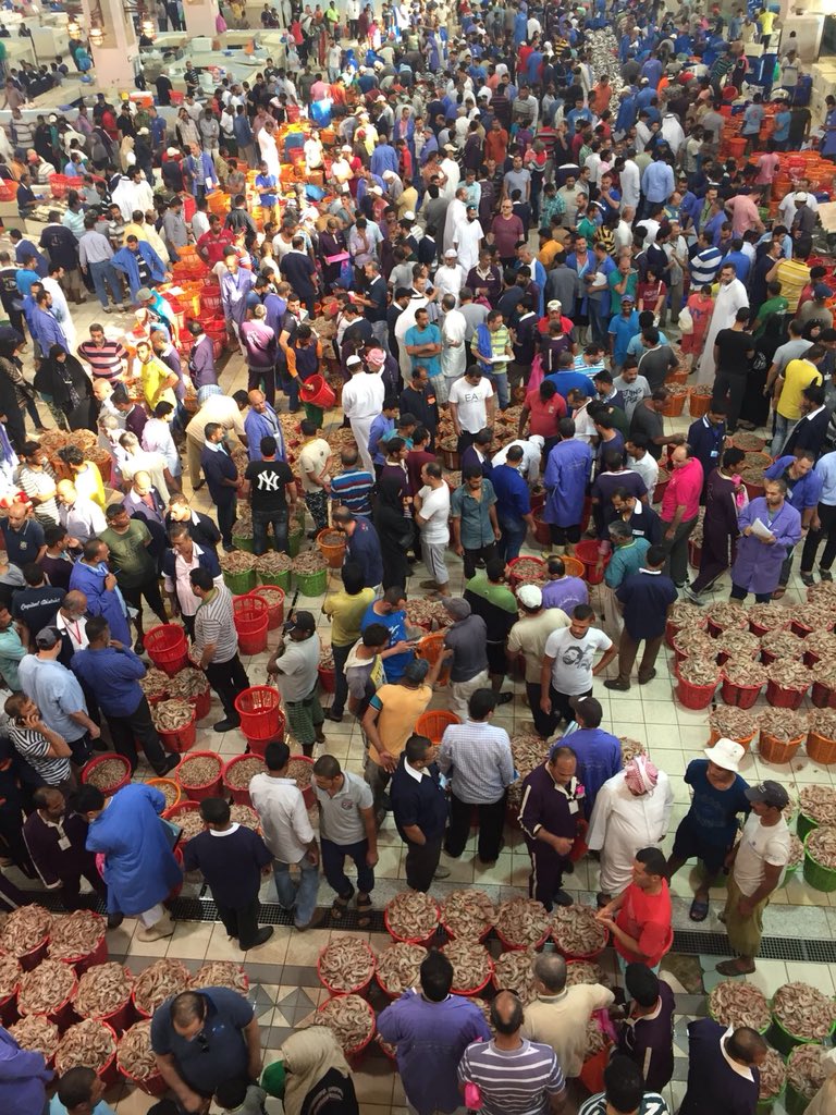 أسعار الأسماك المحلية بسوق شرق اليوم