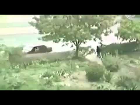 بالفيديو…شاهد أجمل فيديوهات التحرير #ذكري_الغزو_العراقي_الغاشم