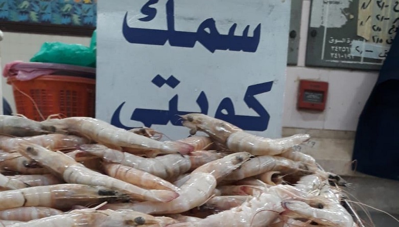 أسعار الأسماك المحلية والمستوردة اليوم