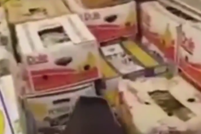 ڤيديو | شحنة بطيخ ملغمة بـ”المخدرات”!