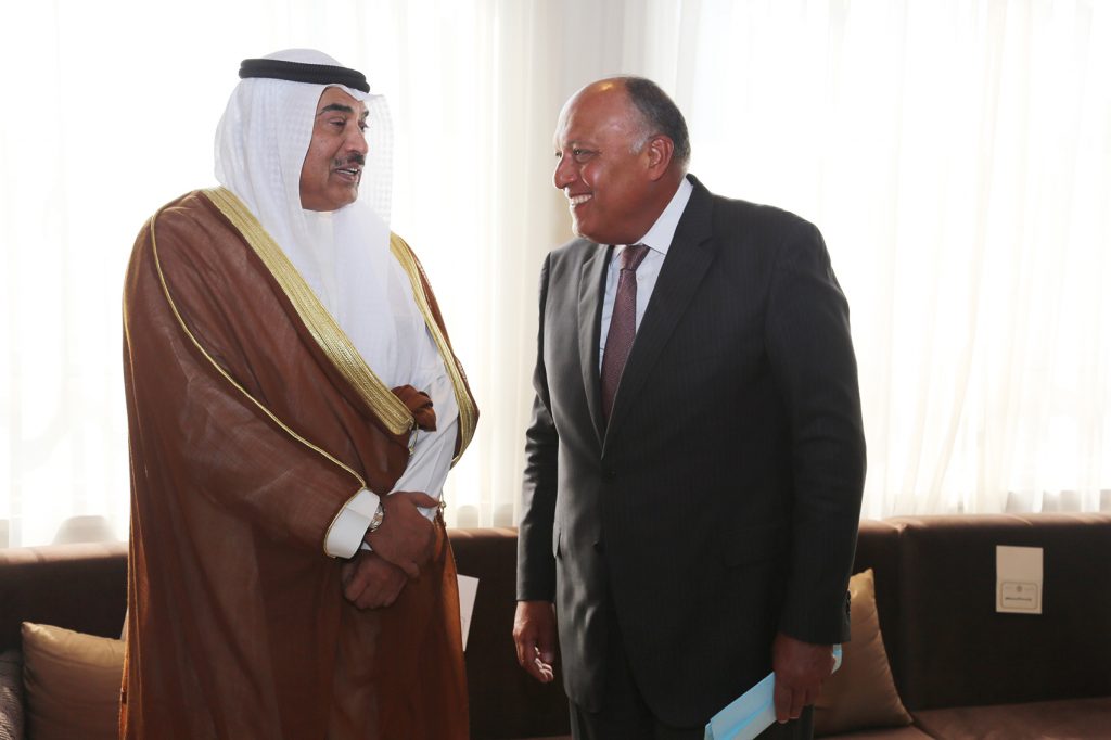 وزير الخارجية يبحث المستجدات على الساحتين الاقليمية والدولية مع نظيره المصري