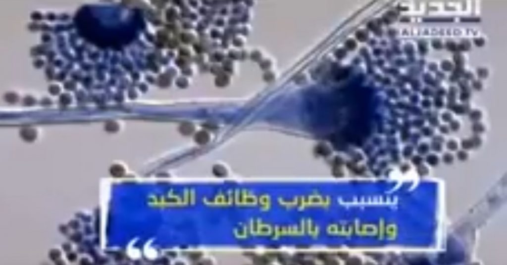 فيديو| المكسرات اللبنانية مسرطنة