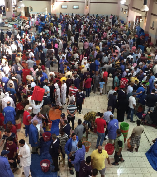 أسعار الأسماك المحلية اليوم