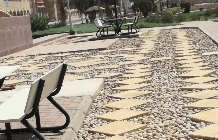 الإنشاءات بجامعة الكويت: توفير بيئة جمالية صحية بجميع مواقع الجامعة