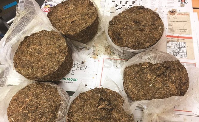 إمبراطور المخدرات الأميركي يسقط في «العاشرة».. يبيع الكوكايين والماريغوانا لطلاب الجامعة الأجانب والدفع «نقدي» و«عيني»