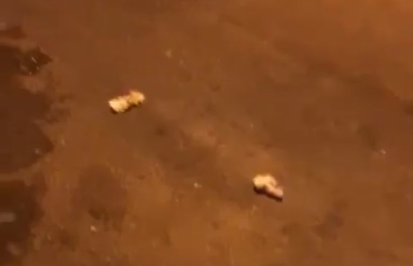 فيديو| قطع الخبز والقمامة في شوارع القادسية والأهالي يتهمون عمال النظافة