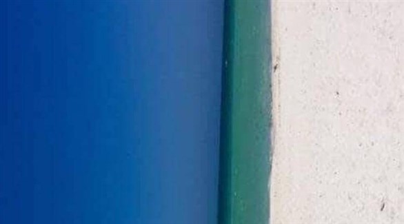 صورة تحير مستخدمي الإنترنت.. باب أم شاطئ؟
