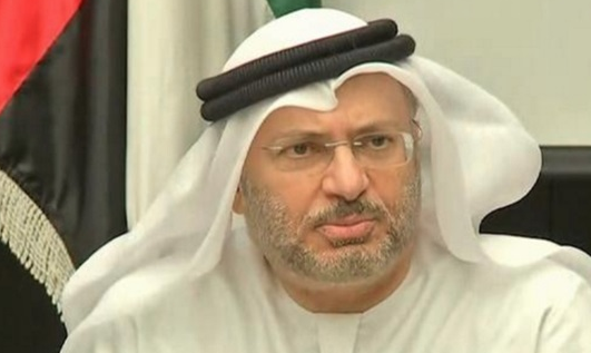 وزير الشؤون الخارجية الإماراتي : دول الخليج يجب أن تكون طرفا في المفاوضات المقترحة مع إيران