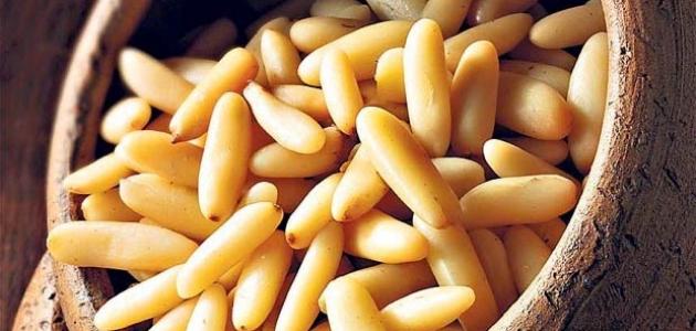 الصنوبر .. يقوى مناعتك ويظبط نسبة السكر