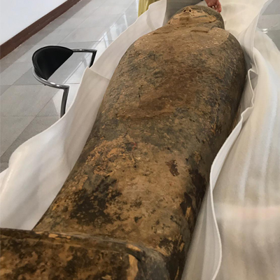 “الخارجية المصرية”: نشكر الكويت على تعاونها في إعادة غطاء التابوت الفرعوني