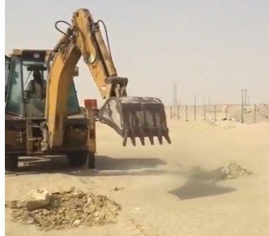 فيديو| حزام شجري في منطقة #الوفرة_الجديدة