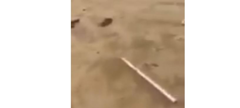بالفيديو | مواطن يرصد وفاة عامل شمال “صباح الاحمد السكنية”.. بعد انقلاب الجاخور عليه