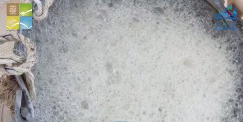 البيئة: لا تلوث نفطي في «محطة الشعيبة والدعية ورأس الجليعة»