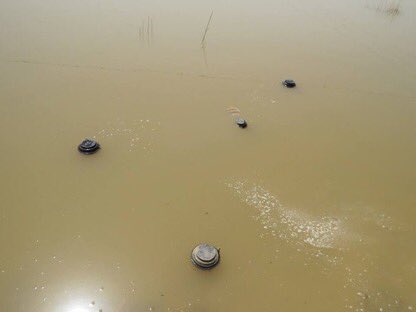 صورة متداولة| الأمطار تكشف عن الألغام في بر السالمي #مطر_الكويت