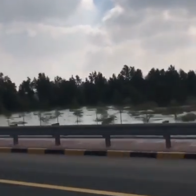 بالڤيديو…بحيرة الدائري السادس!