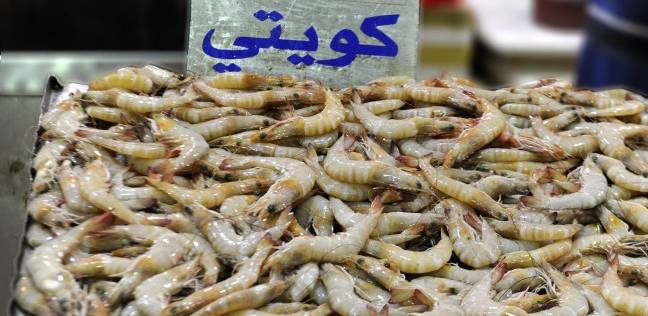 كميات الربيان الكويتي.. تتراجع