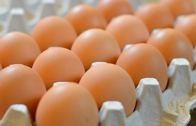الشؤون تدرس آلية لاستيراد البيض لتعويض النقص