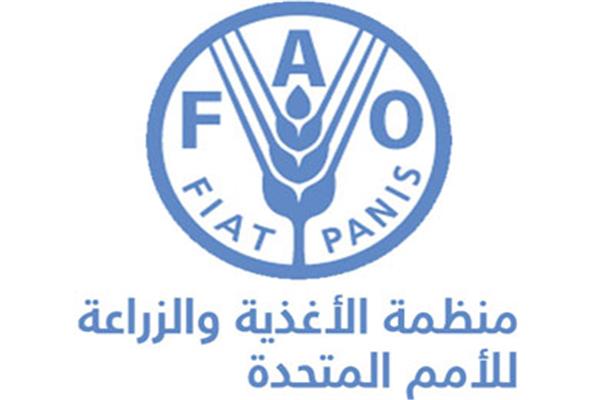 الكويت رئيسا لمجموعة الشرق الأدنى وشمال أفریقیا بمنظمة “فاو”