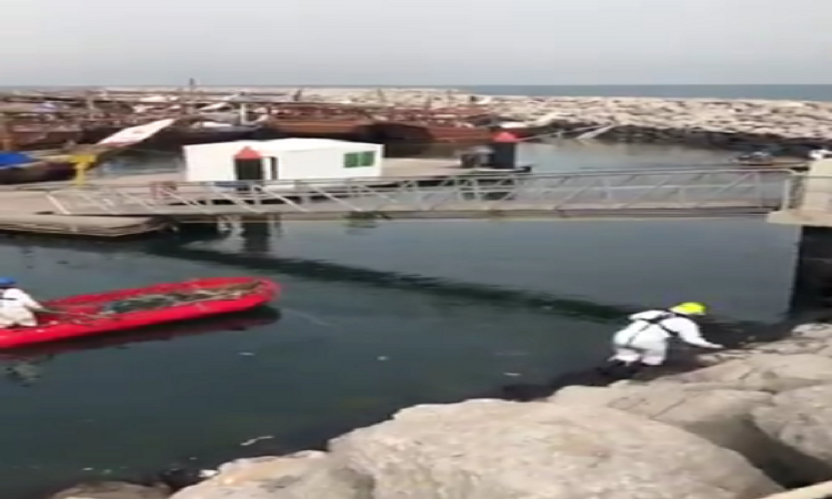 فريق الغوص يرفع 5 أطنان مخلفات من نقعة الفحيحيل