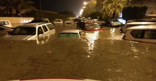 غداً.. “تقصي الحقائق” تحقق مع مسؤولي 60 شركة