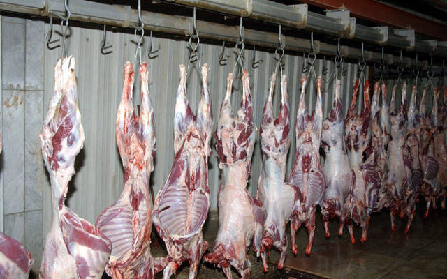 500 فرصة عمل لـ “المواطنين” بمسلخ العاصمة