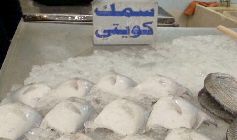 “التجارة” في اختبار صعب لحماية المواطنين من الغش التجاري في بيع الأسماك غدًَا