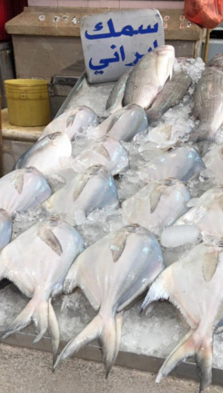 الباعة يرفضون قص جزء من ذيل الأسماك المستوردة؟