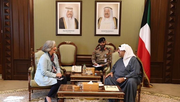 النائب الأول يستقبل السفيرة الفرنسية