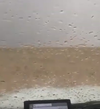 بالفيديو | أمطار بـ “الشقايا”.. حالياً