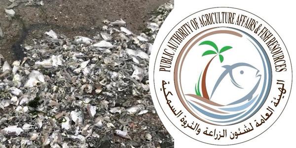 هيئة الزراعة: نفوق أسماك الشم على سواحل الصليبيخات.. محدودة