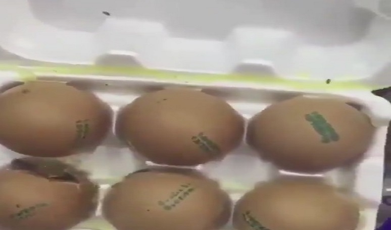 بالڤيديو | بيض فاسد في إحدى الجمعيات التعاونية
