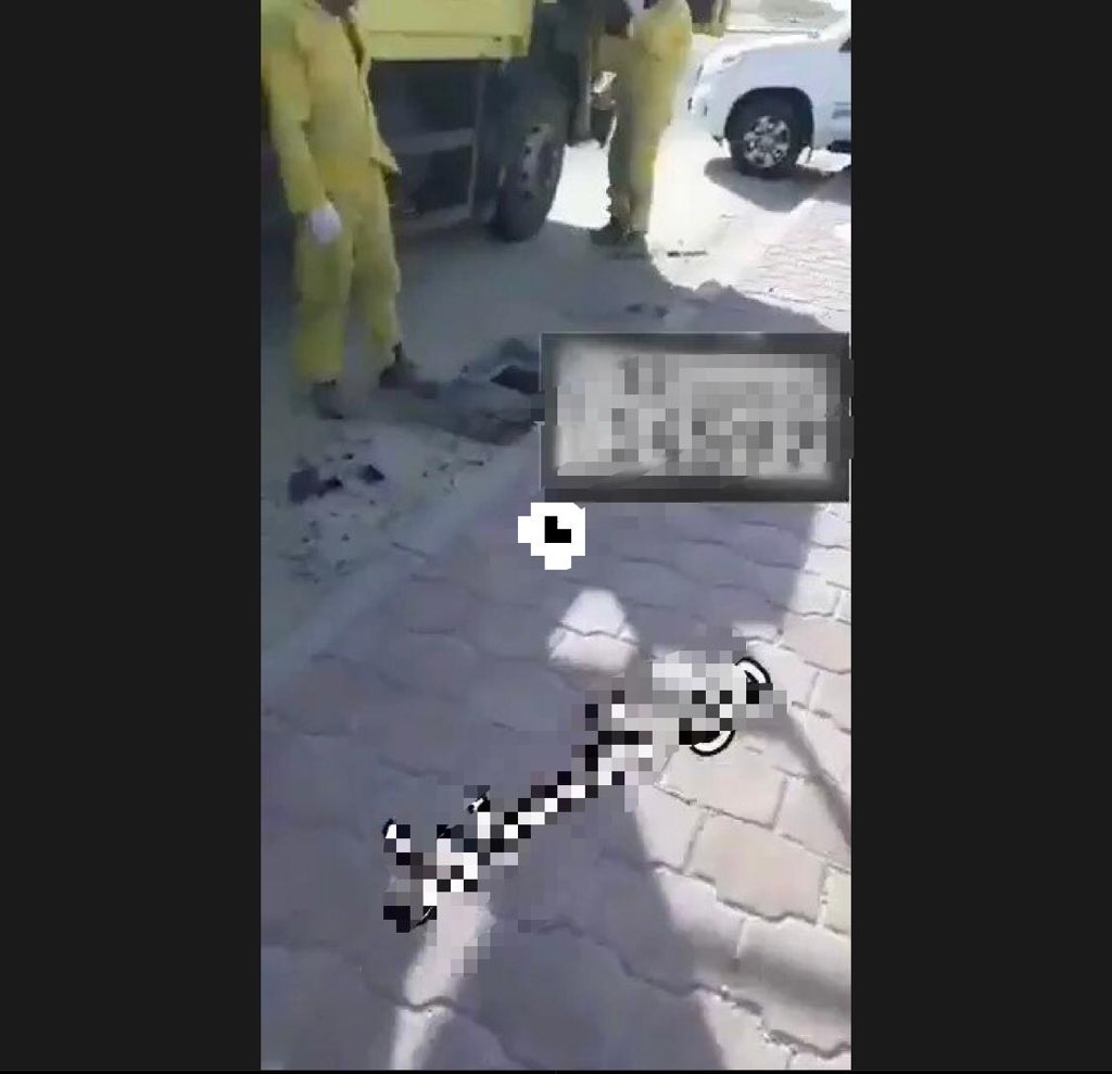 “الداخلية”: جارٍ إبعاد سارقي أغطية المناهيل