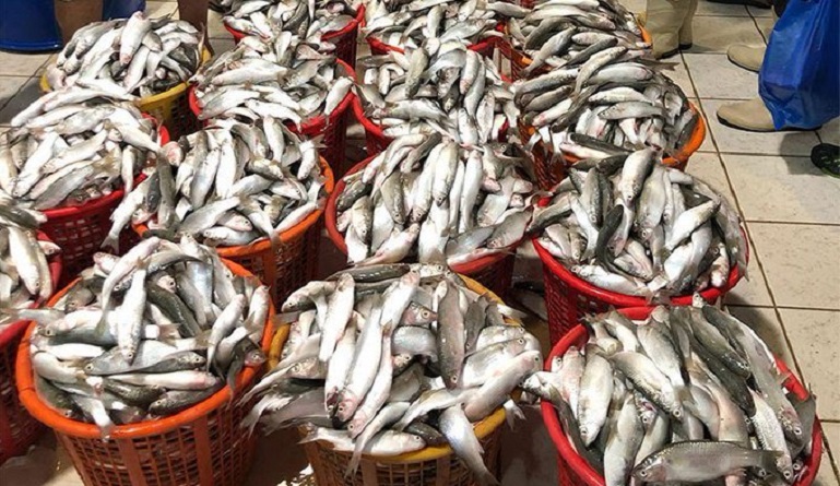 قلة المعروض و غياب رقابة وزارة التجارة يسمح بالارتفاع الجنوني للأسعار