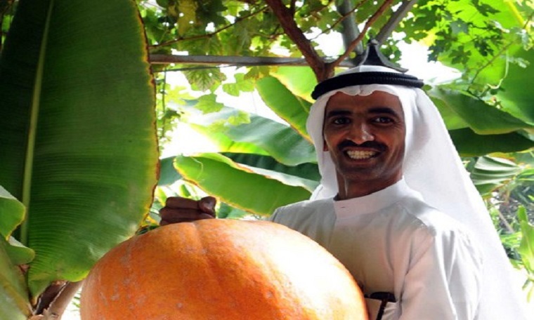 الزراعة تسحب مزرعة #ناصر_العازمي