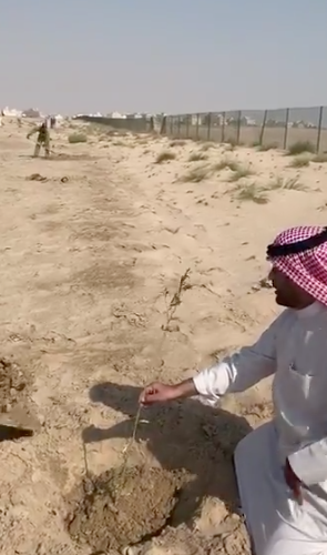 فيديو | انطلاق حملة تشجير #الكويت