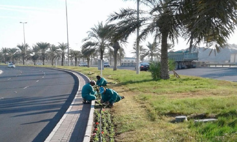 تشكيل لجنة لتشجير مدينة صباح الأحمد والخيران