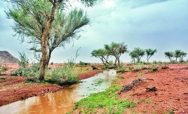 خبير أرصاد سعودي: باقٍ 12 يومًا ويدخل علينا أجمل موسم في السنة