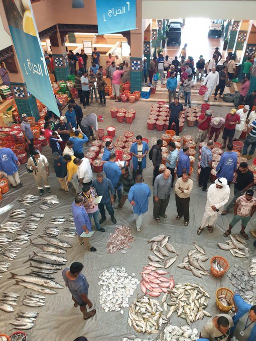 “التجارة”: مراقبة مزاد السمك بالفترتين الصباحية والمسائية