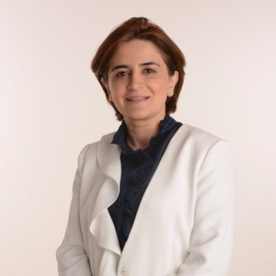 تقديم استجواب لوزيرة الشؤون الاجتماعية والعمل د.غدير أسيري #استجواب_غدير_أسيري #غدير_أسيري