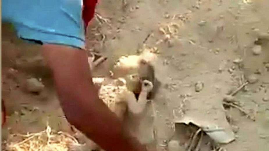 شاهد..فيديو لا يصدق:رضيع هندي دفن حيا.. ونجا بمعجزة؟