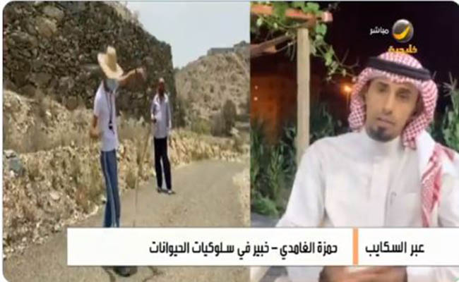 بالفيديو: خبير أفاعي يكشف كيف تتصرف عند التعرّض للدغة ثعبان في البر