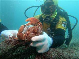 فريق الغوص الكويتي: متابعة دؤوبة لحالة الشعاب المرجانية وبيئتها بعد الحظر الكلي
