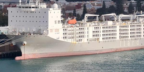 نتائج إيجابية لرحلة سفينة «الكويت» للمواشي الأخيرة