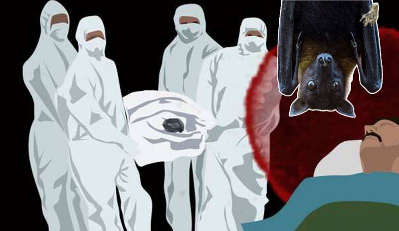 فيروس نيباه.. وباء جديد تنقله الخفافيش. ليس له علاج ومعدل الوفيات الناجم عن الإصابة به مرتفع